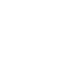 Whistle Logo White