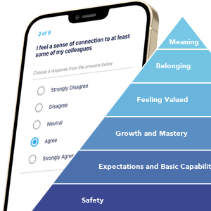 Employee Loyalty Index Hierarchy of needs